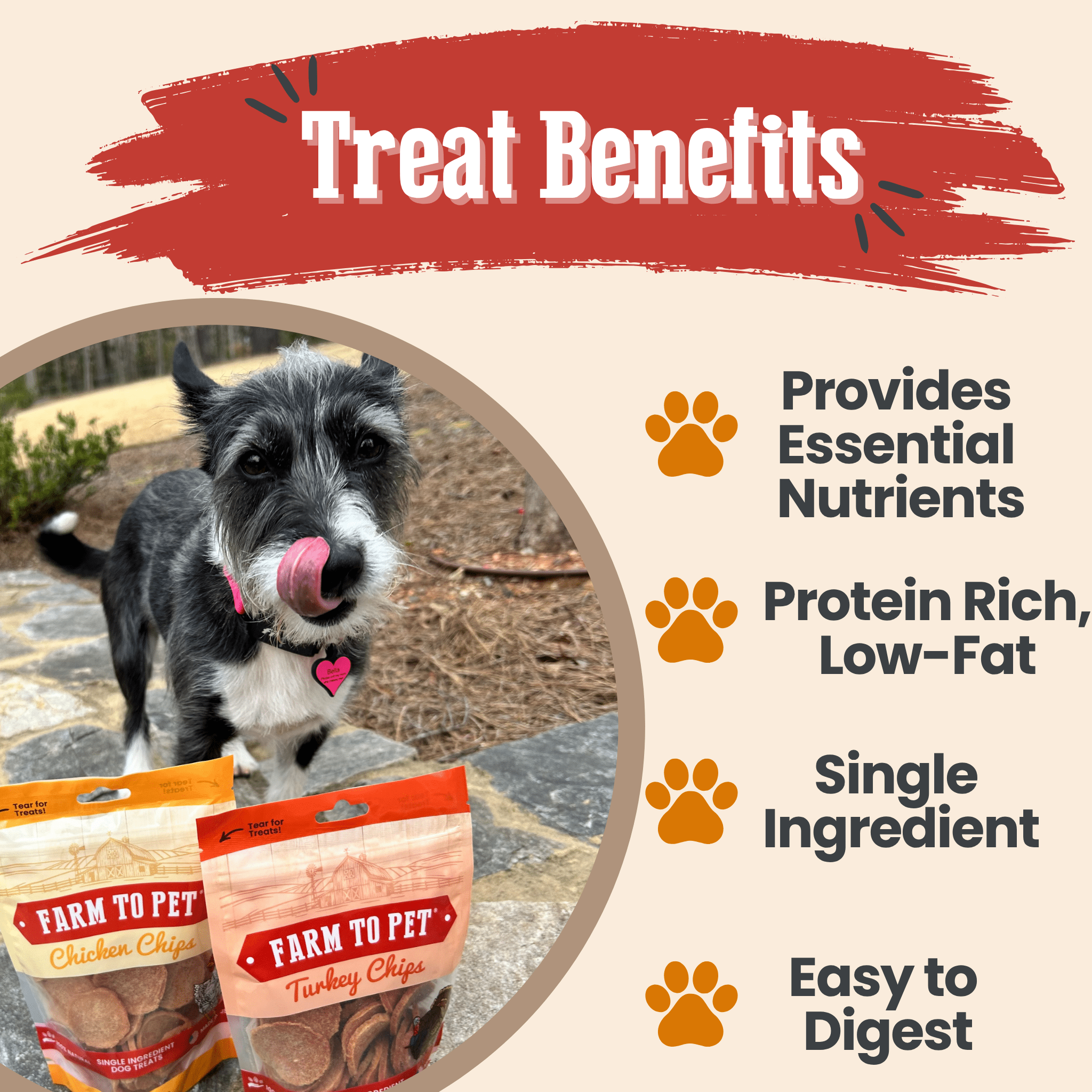 Turkey & Chicken Chip Dog Treat Duo | Single-Ingredient Poultry Treats for Dogs