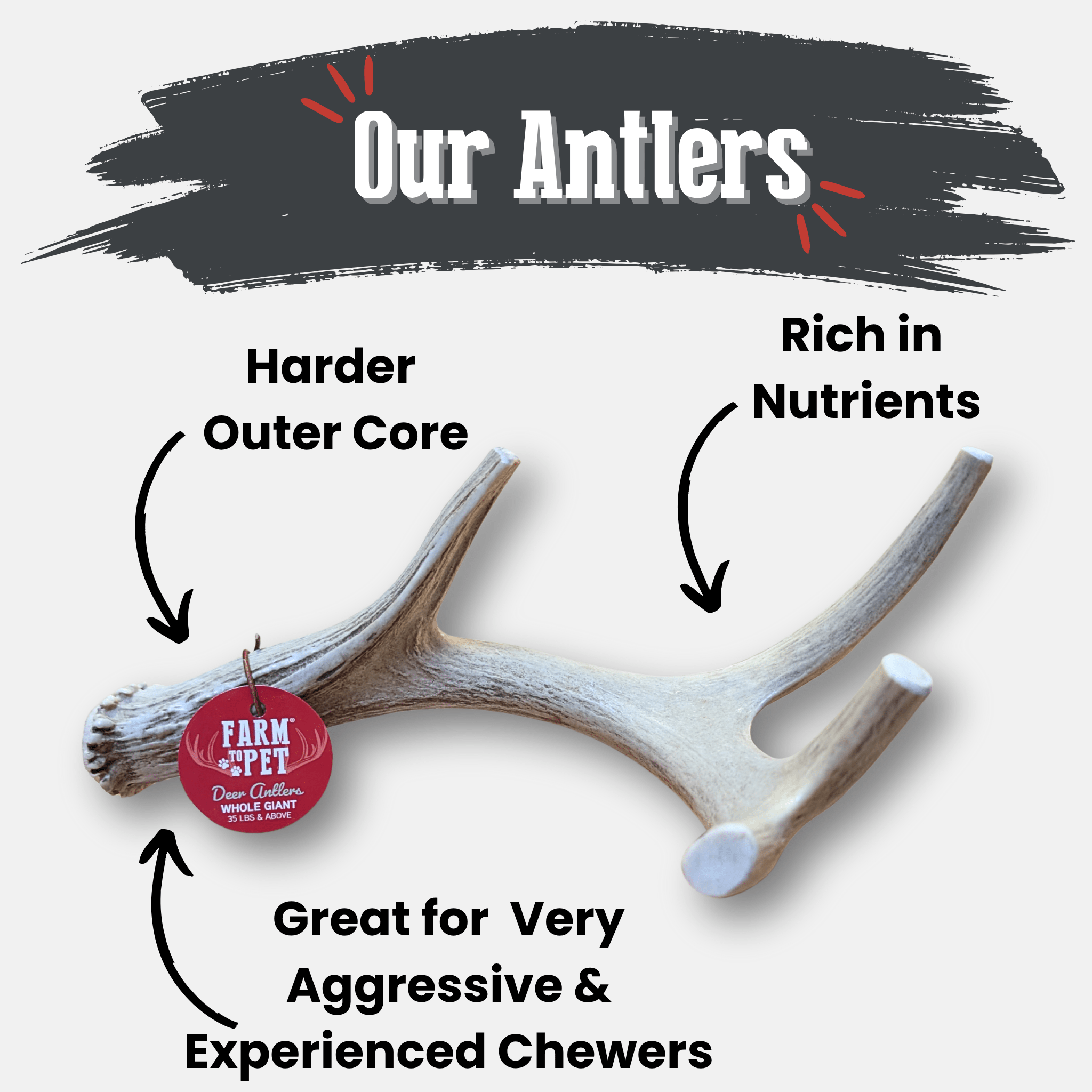 Deer Antler Dog Chews | Organic Chews for Dogs