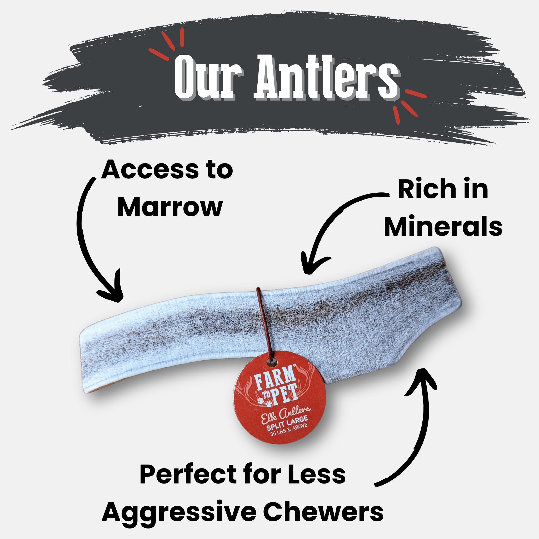 Elk Antler Dog Chews | All-Natural Whole and Split Elk Antler Chews for Dogs