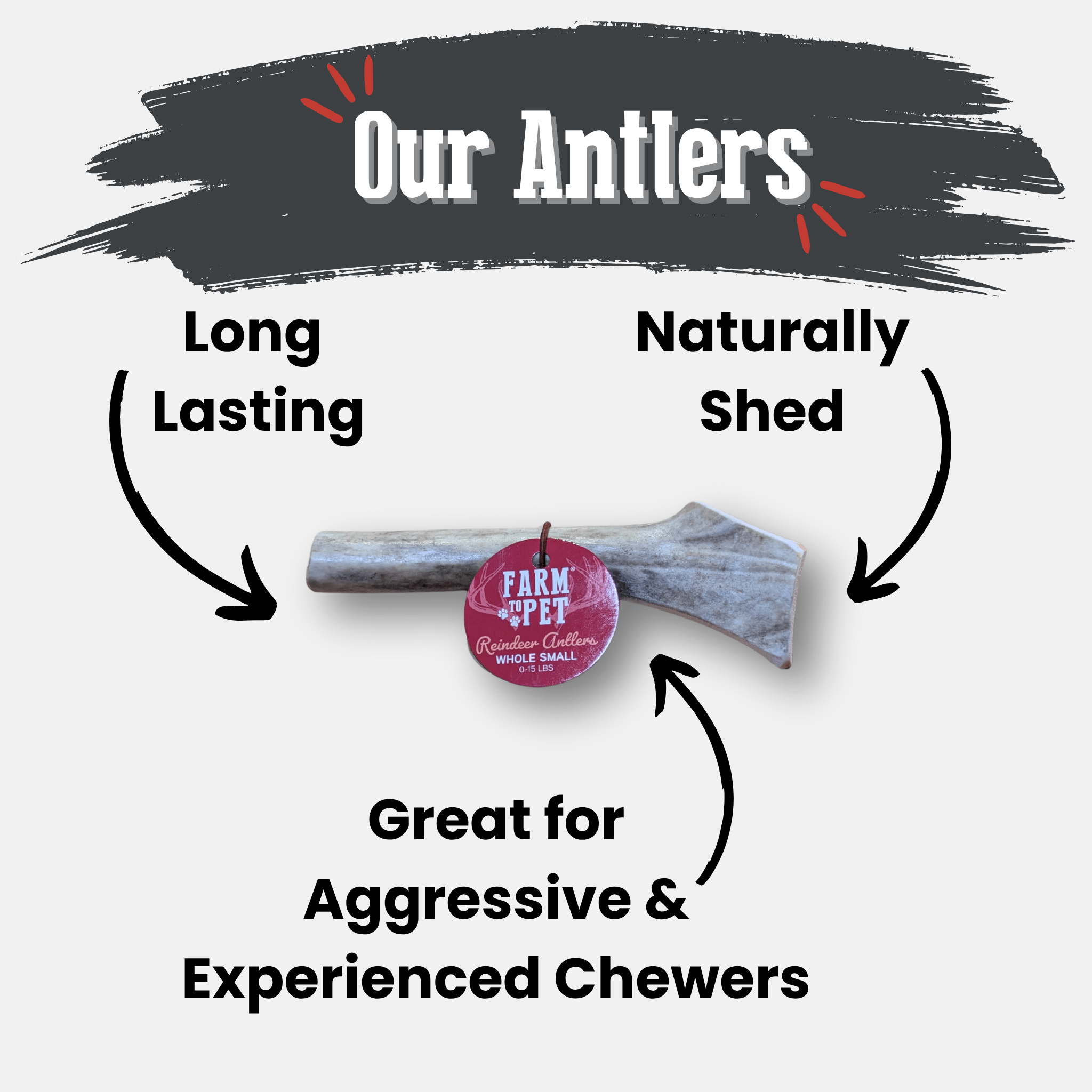 Reindeer Antler Dog Chews | Organic Chews for Dogs
