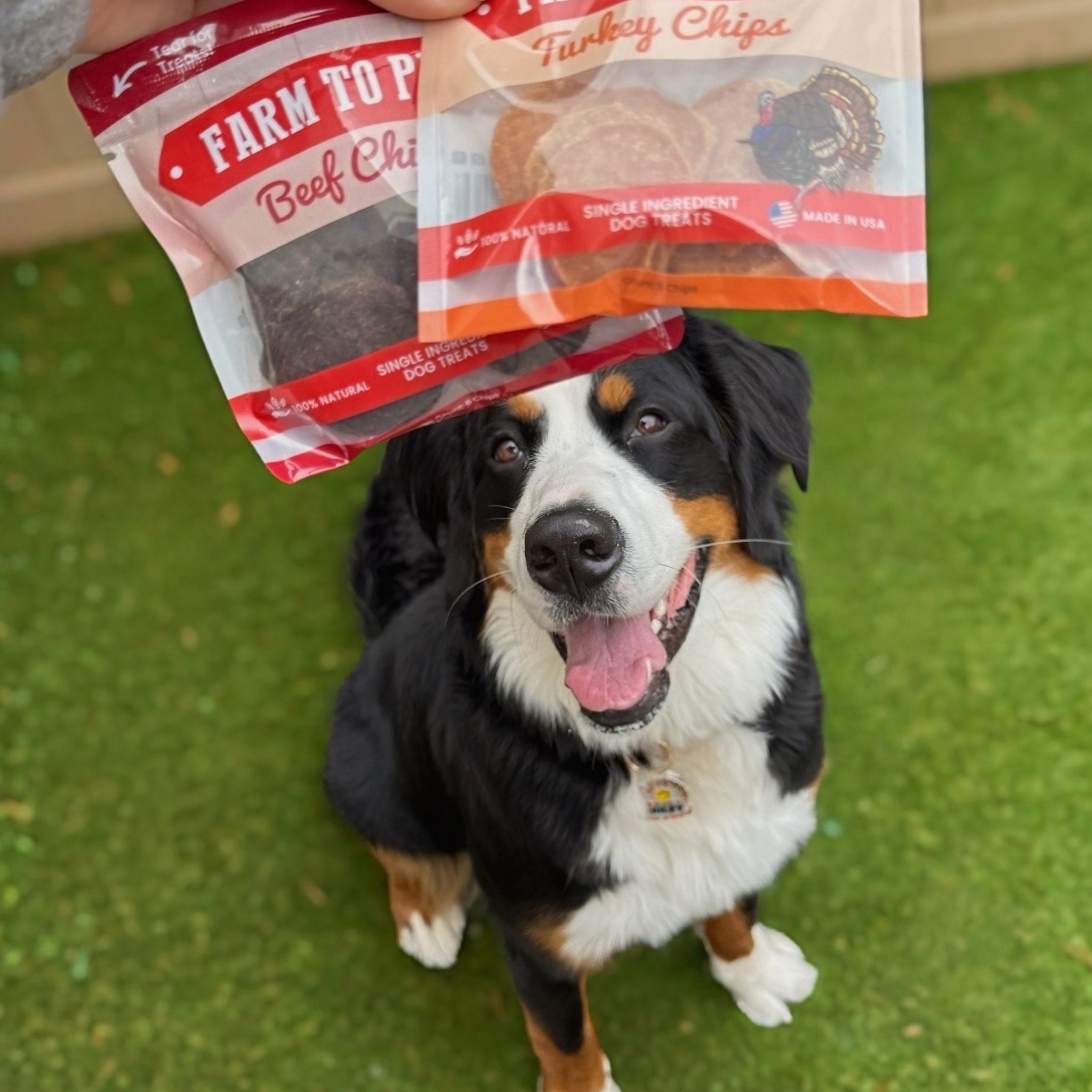 Puppy Packs 'n Snacks Dog Treat Starter Pack | Single-Ingredient Training Treats