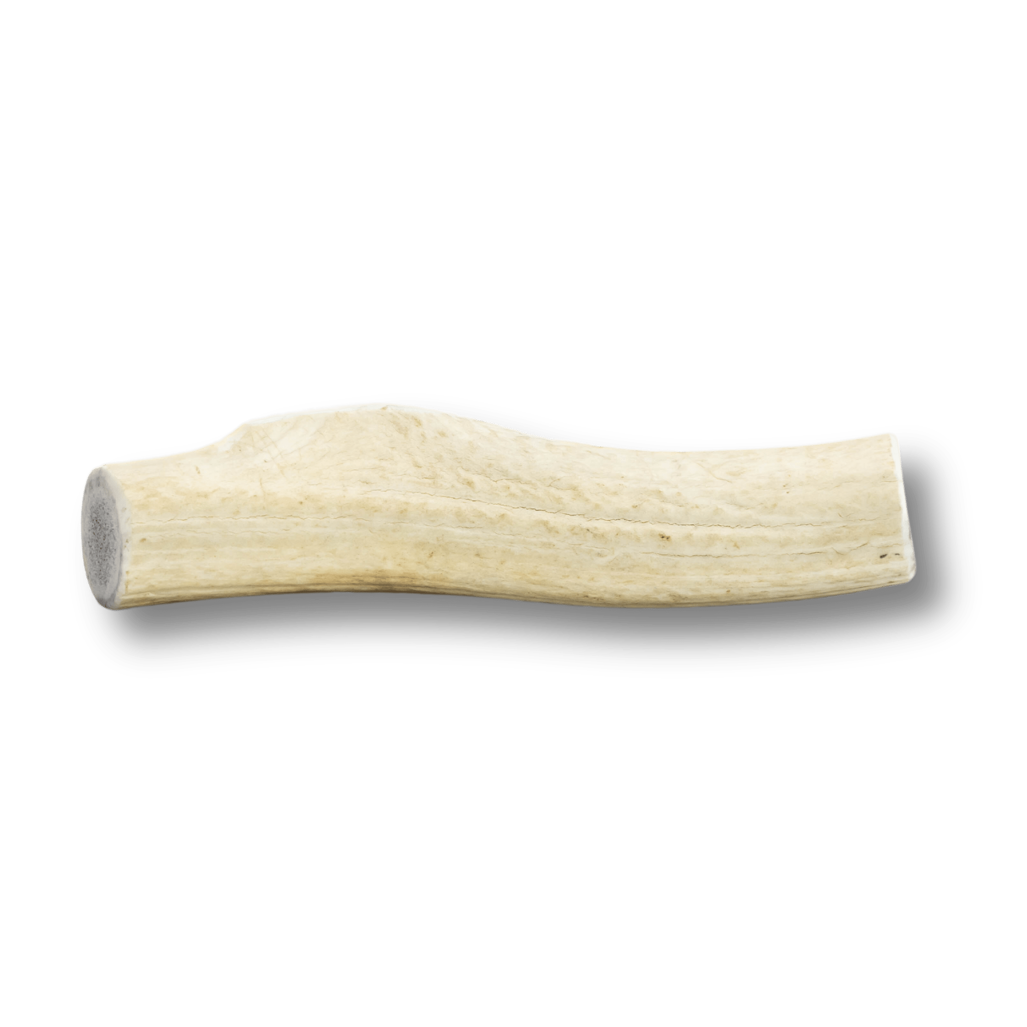 Whole Elk Antlers for Dogs | All-Natural Antler Dog Chews