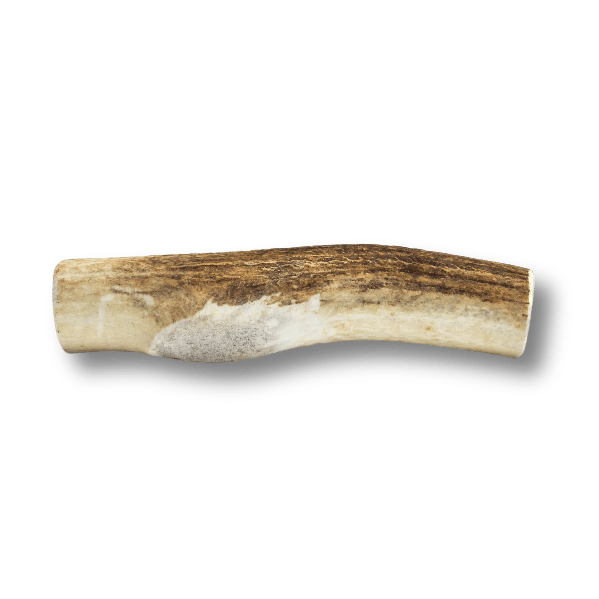 Whole Elk Antlers for Dogs | All-Natural Antler Dog Chews