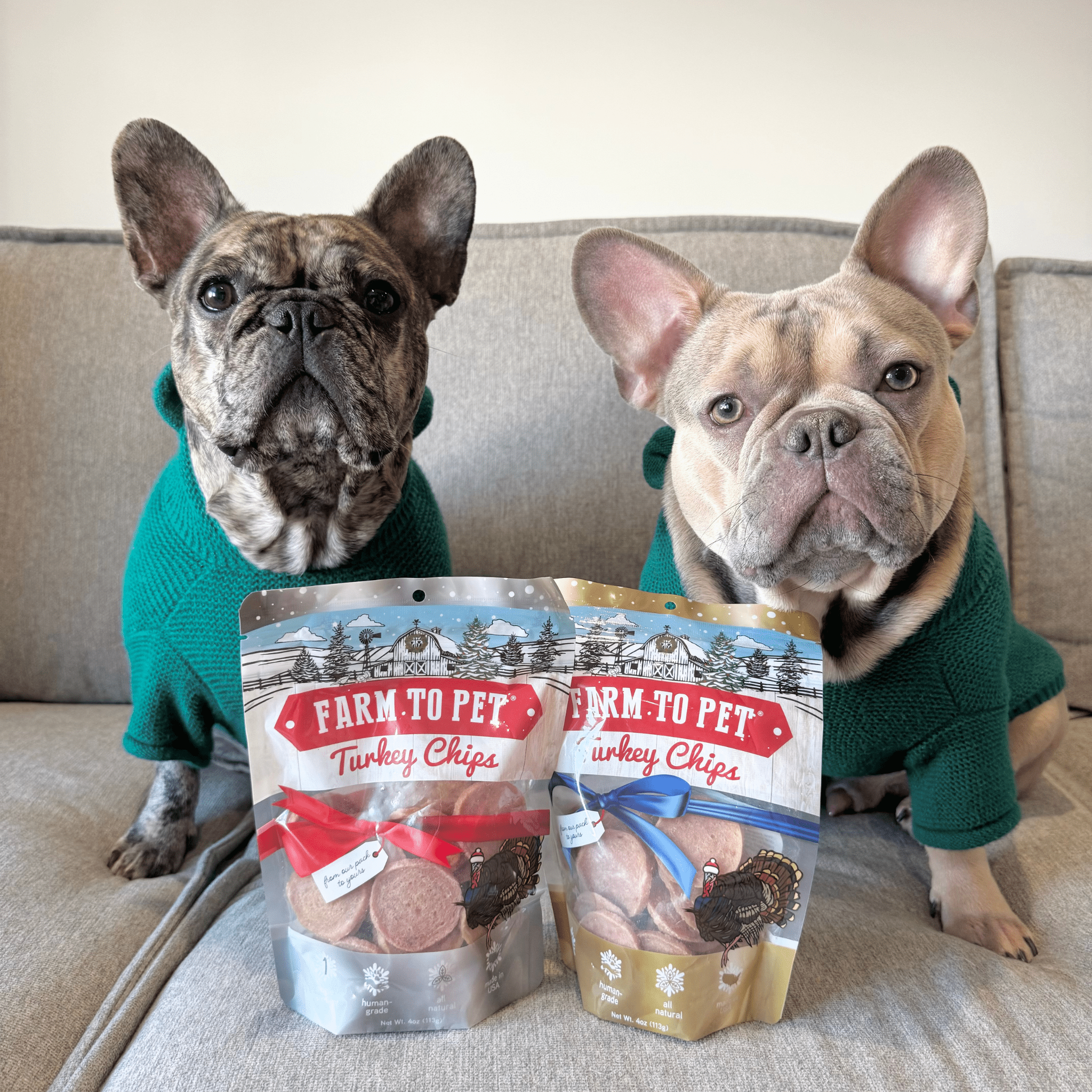Holiday Chips for Dogs - Turkey 4oz Combo