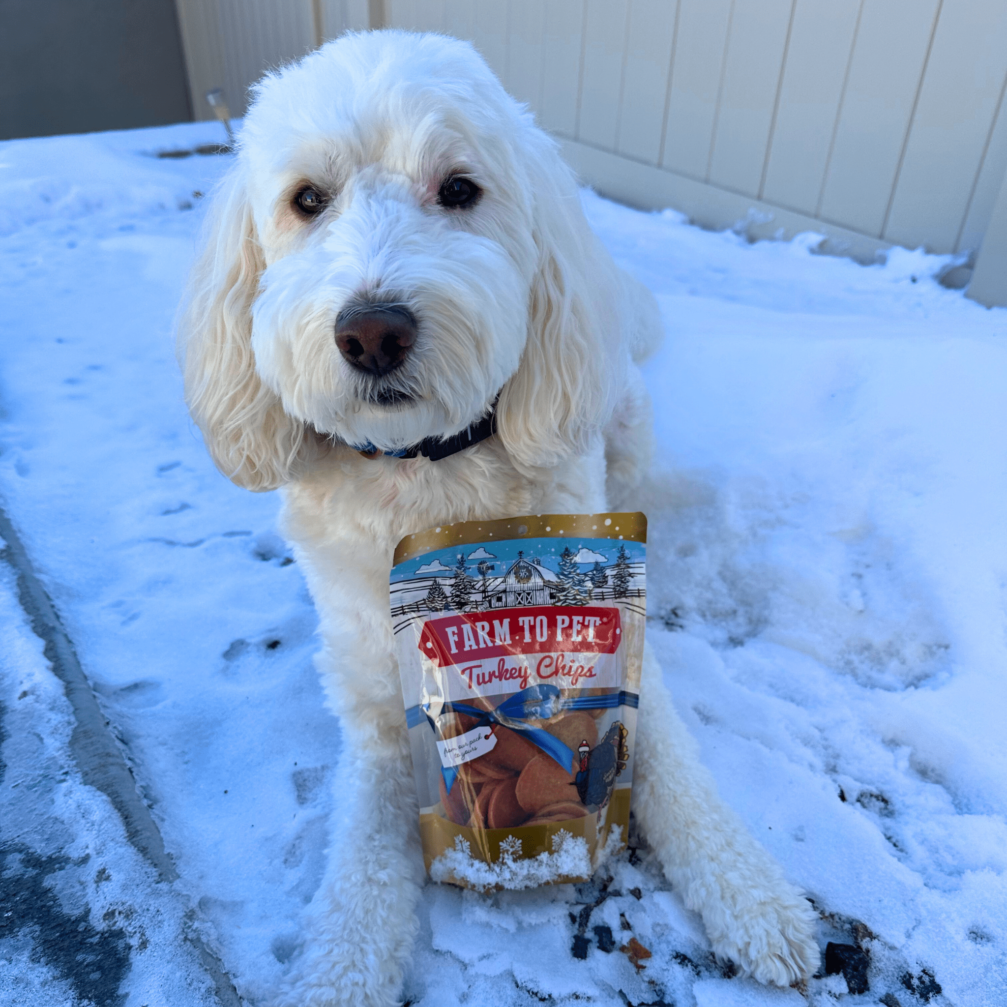 Holiday Chips for Dogs - Turkey 4oz Combo