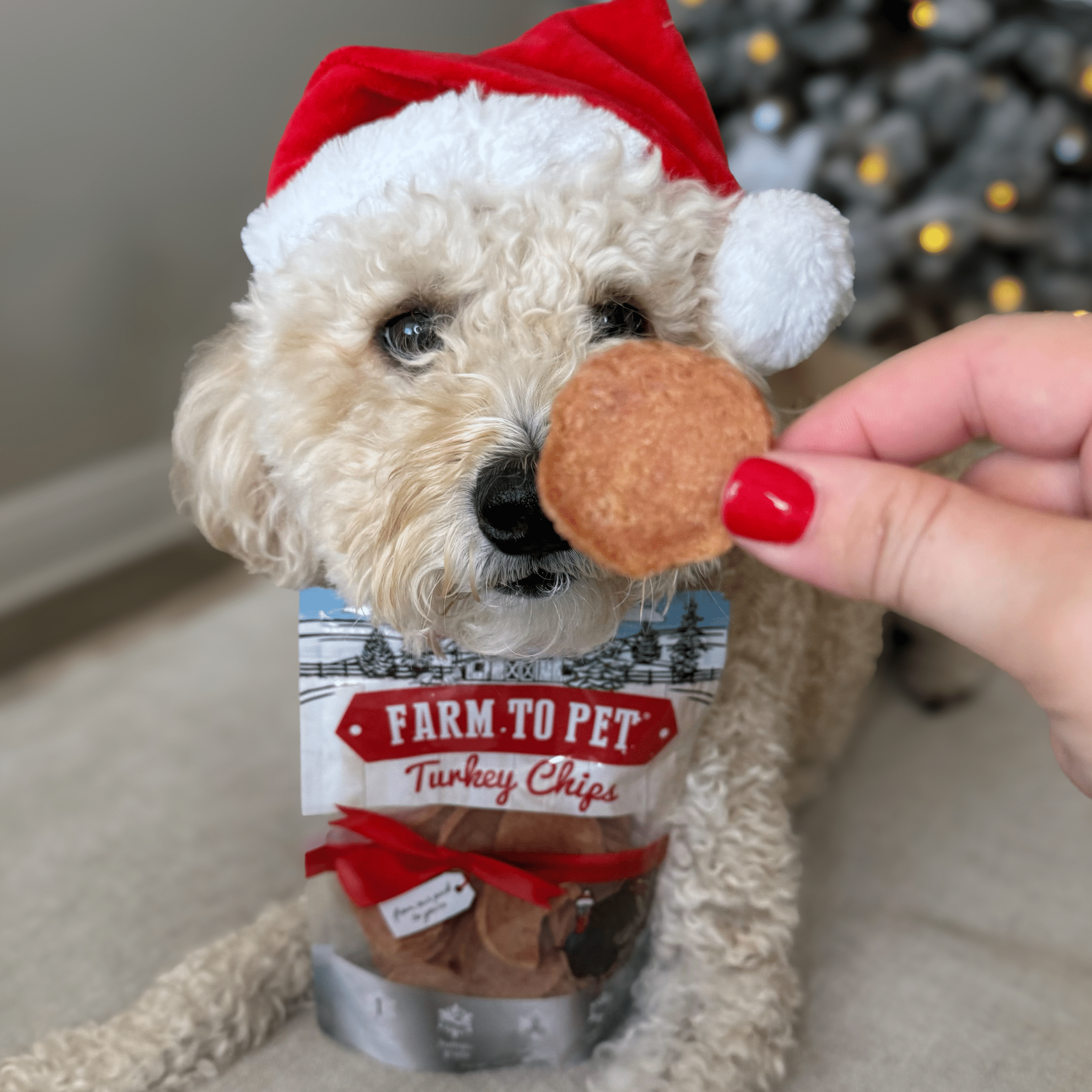 Holiday Chips for Dogs - Turkey 4oz Combo