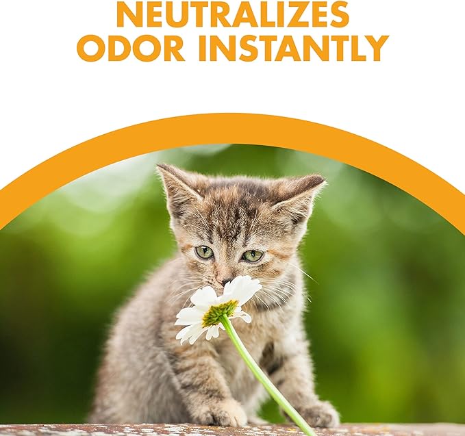 Feline Pine Cat Litter Original