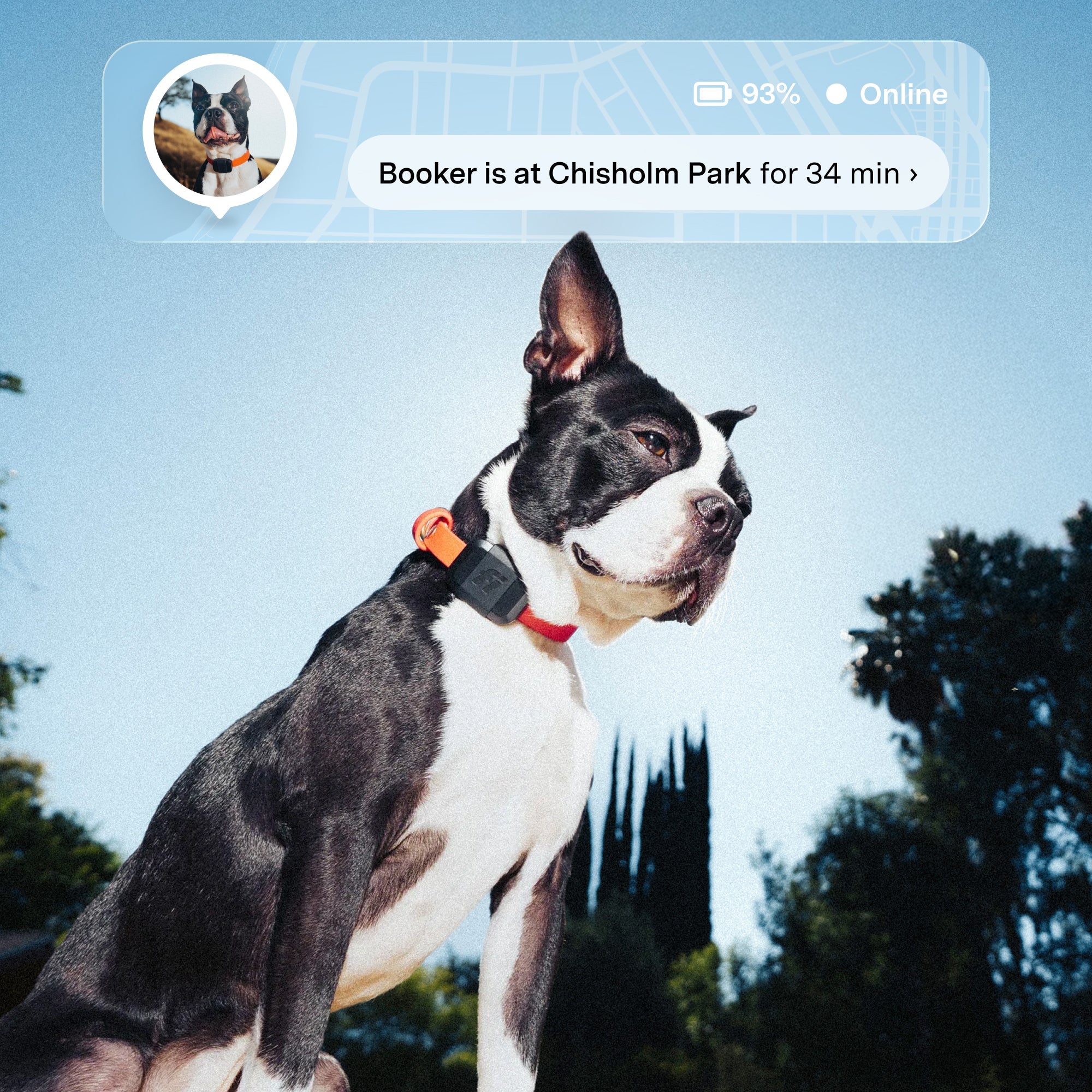 Fi Mini GPS Tracker for Dogs & Cats — Real-Time LTE Location, Escape Alerts & Activity Tracking | 6 Months of Membership Included | Lightweight, Waterproof Collar Attachment