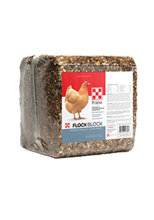 25lb Purina Flock Block