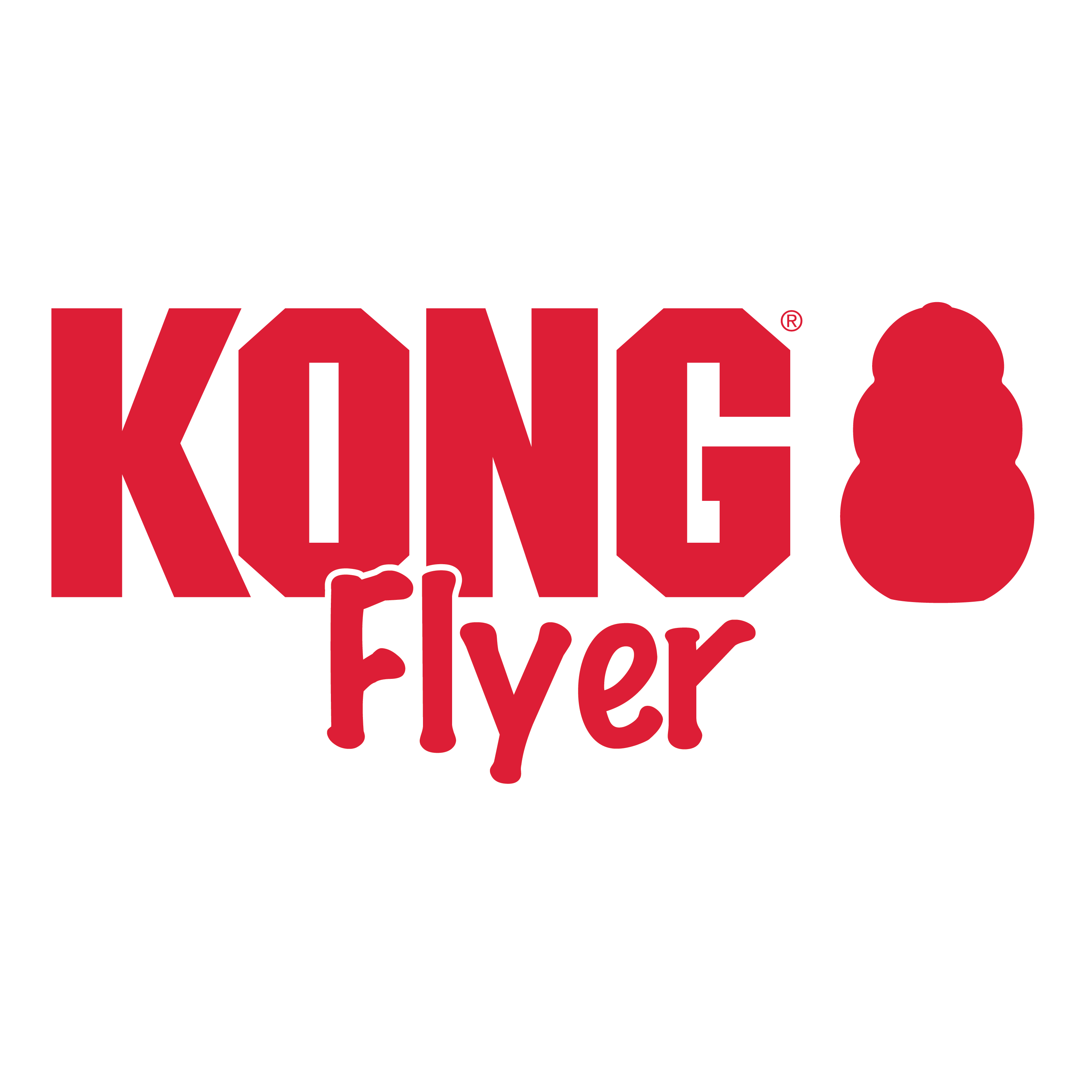 Kong Flyer Small