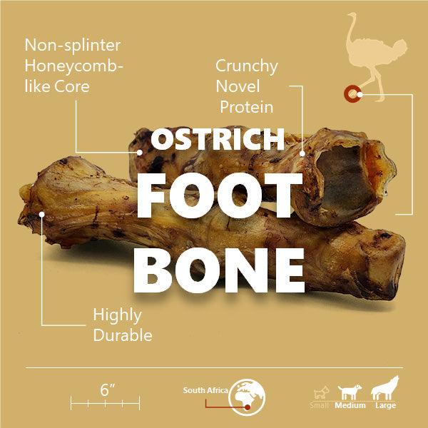 Ostrich Foot Bone (7