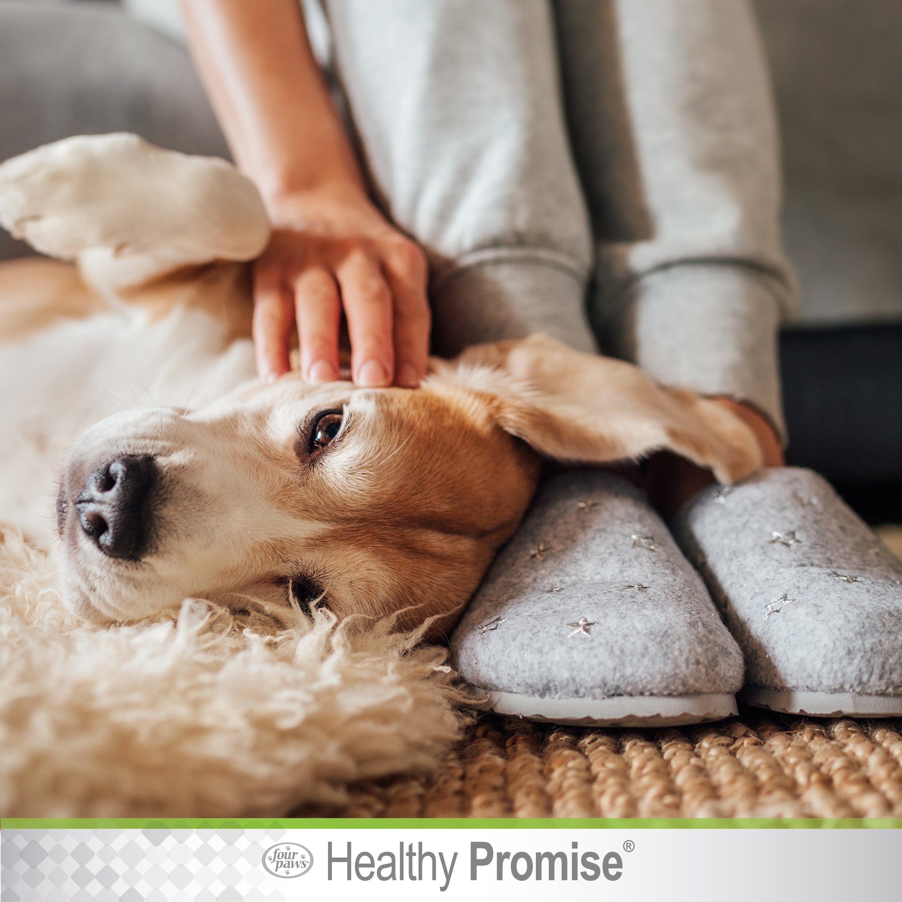 Four Paws Healthy Promise™ Cat & Dog Ear Wipes (35ct)