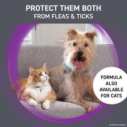 Frontline Plus Flea and Tick Treatment for Small Dogs (5-22LB) (3PK) (4.54g)