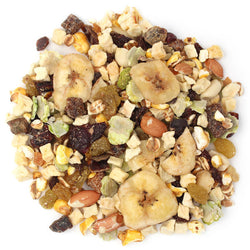 11oz Sunseed Fantasy Fruit Mix for Cockatiels