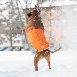 Camplife Puffer - Orange