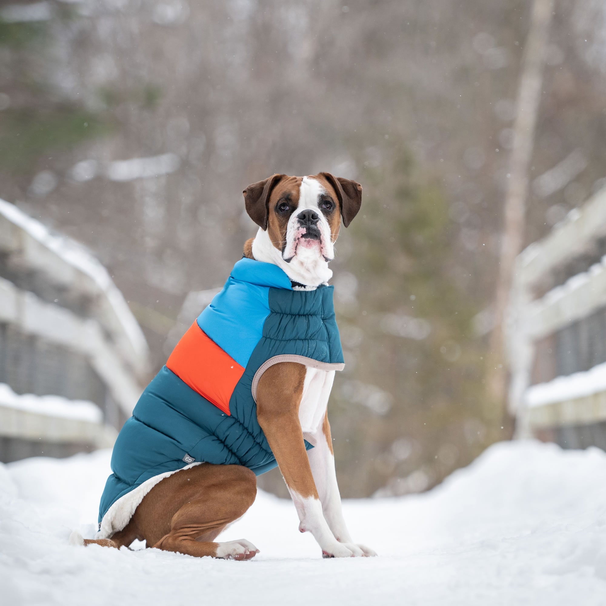 Color Block Puffer