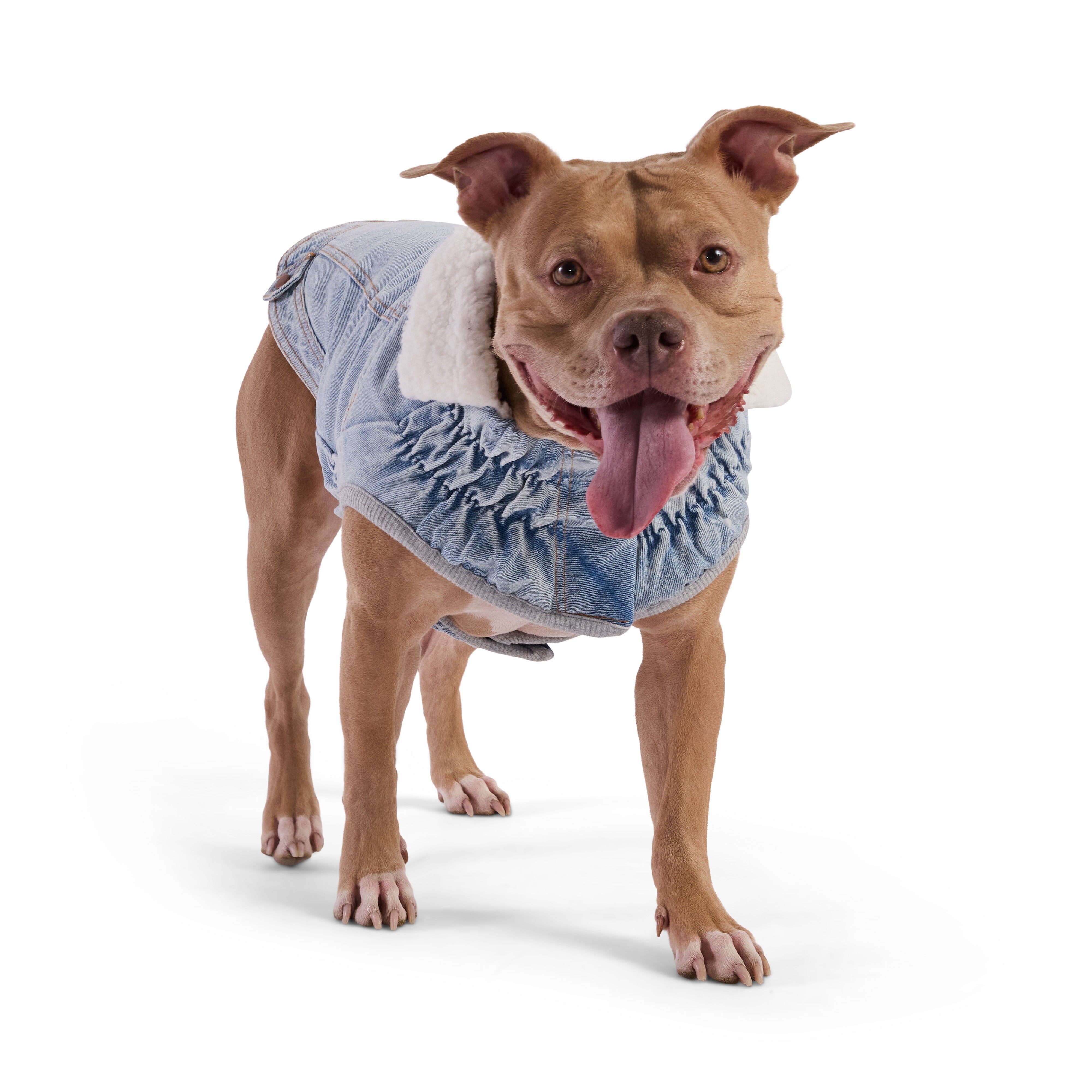 Northside Denim Jacket - Light Wash