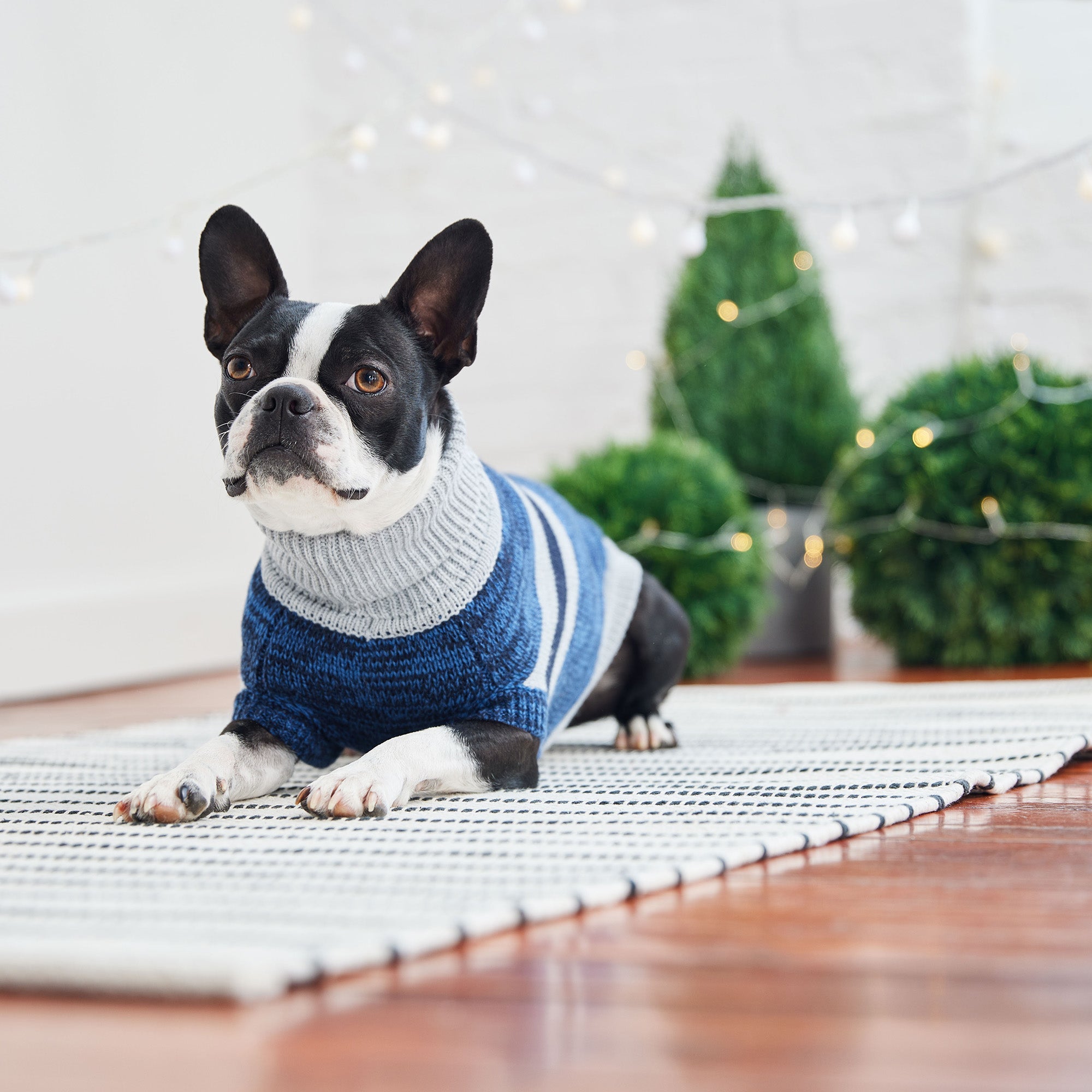 Trekking Sweater - Blue