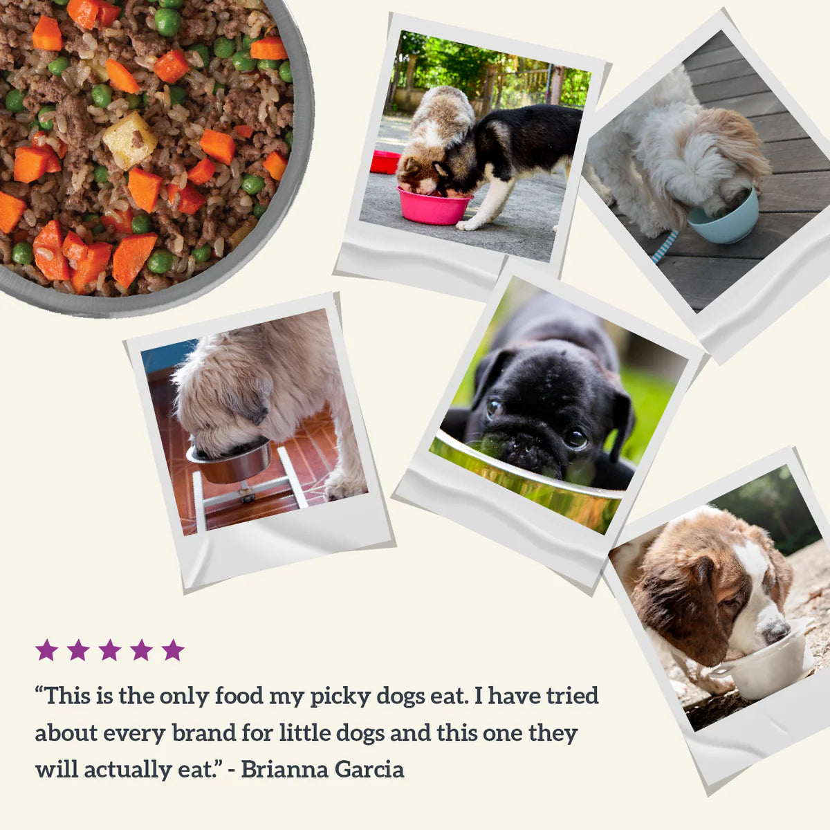 Health Extension Gently Cooked Beef and Potato Recipe for Dogs (9oz)