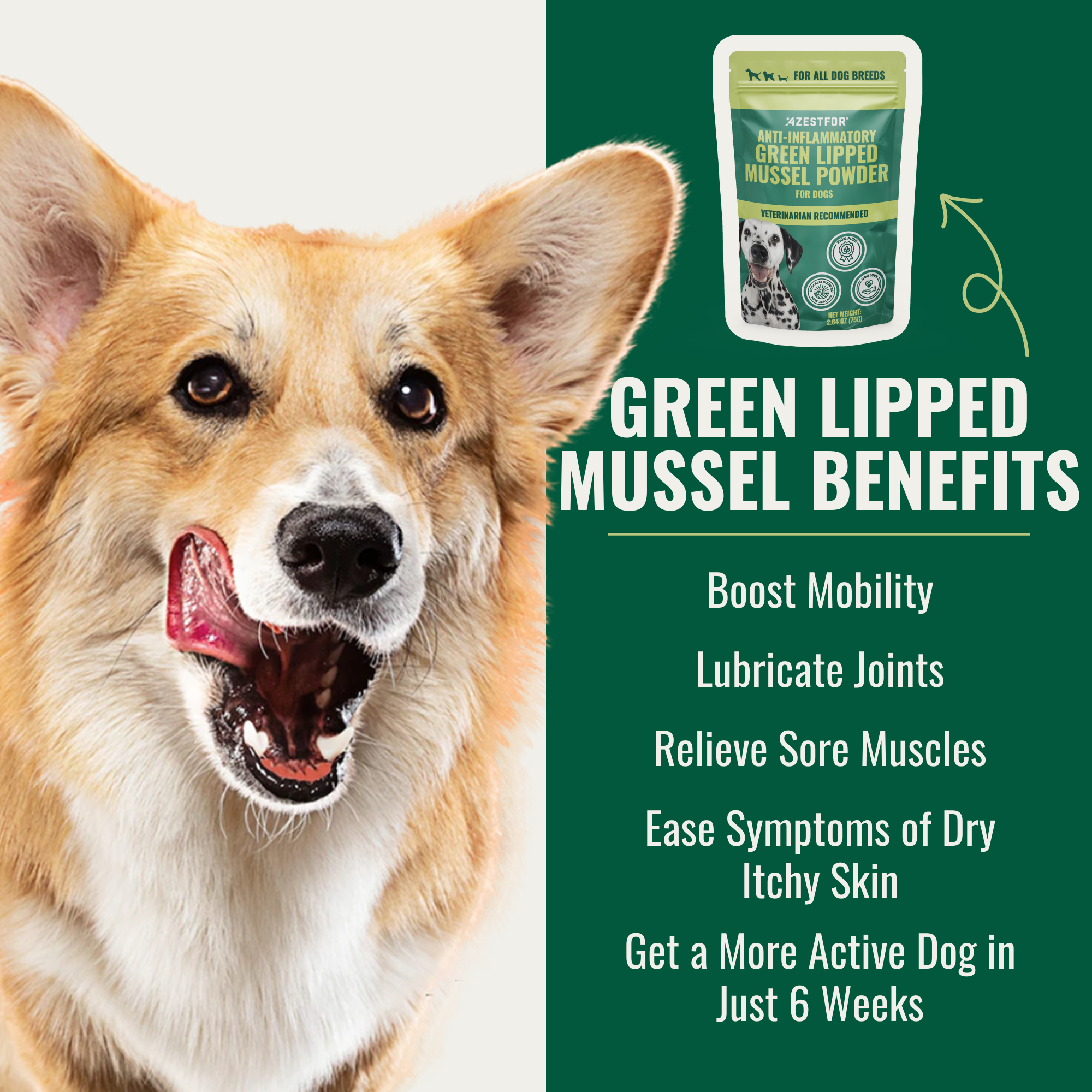 Green Lipped Mussel For Dogs