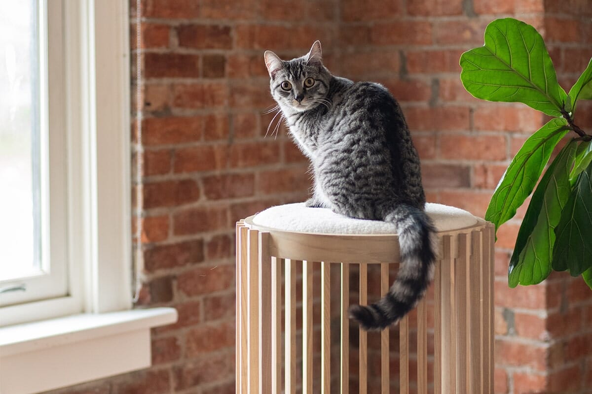 Grove Cat Tower