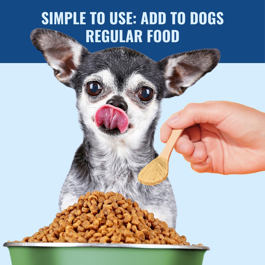 Gut Health For Dogs