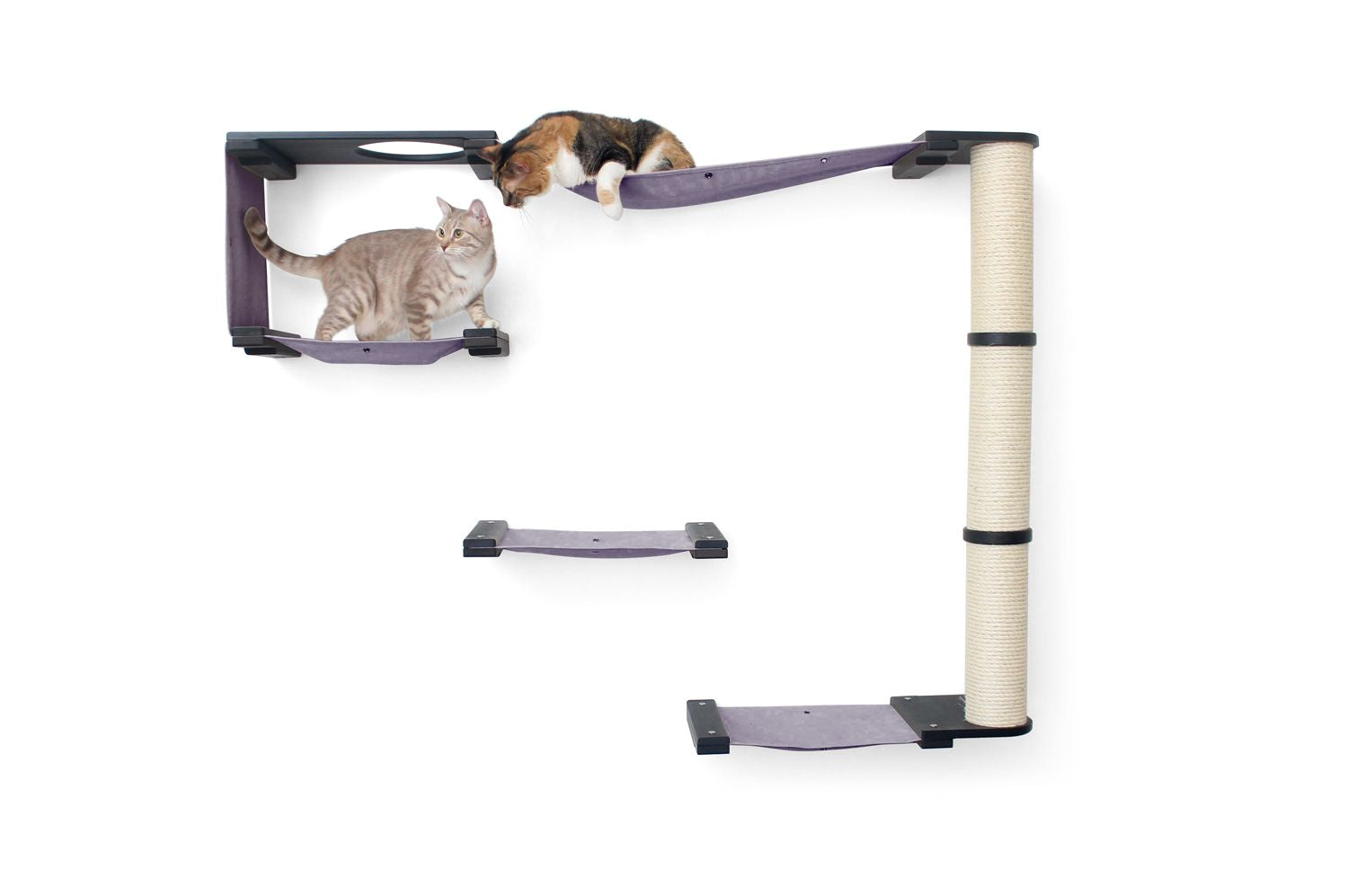 The Climb Condo - Cat Wall Climbing System