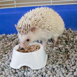 25oz Sunseed Vita Prima Hedgehog Food