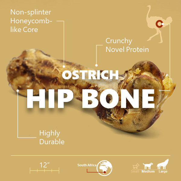 Ostrich Hip Bone (12