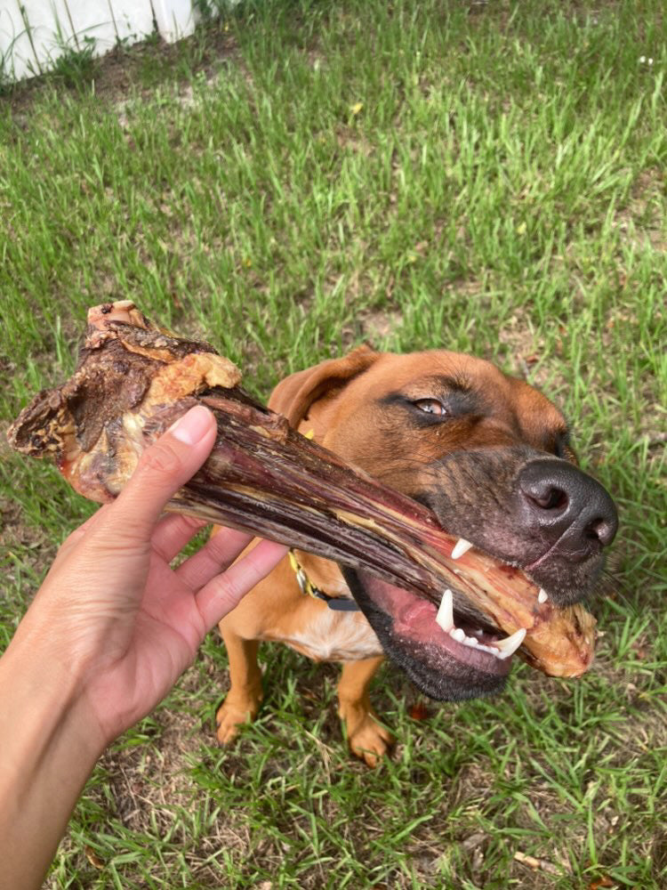 Lamb Shank (GFF & Pasture Raised)