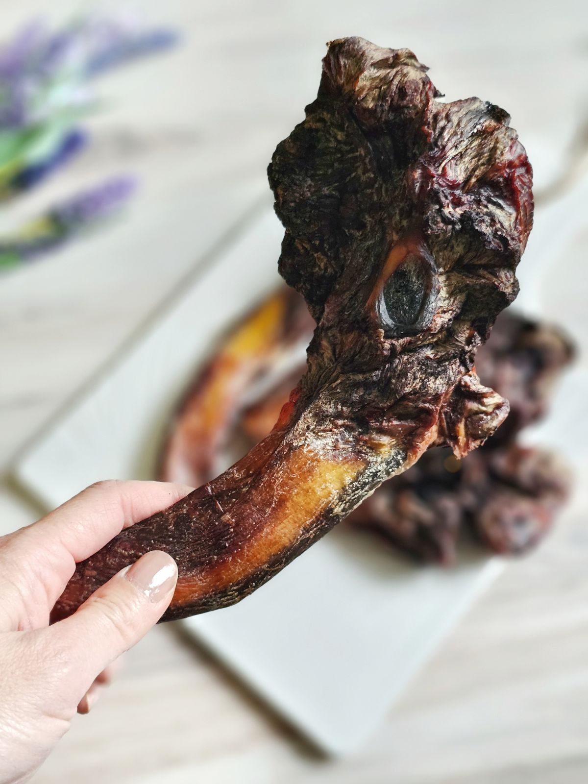 Beef Pizzle (Sticks, Loops, Short,