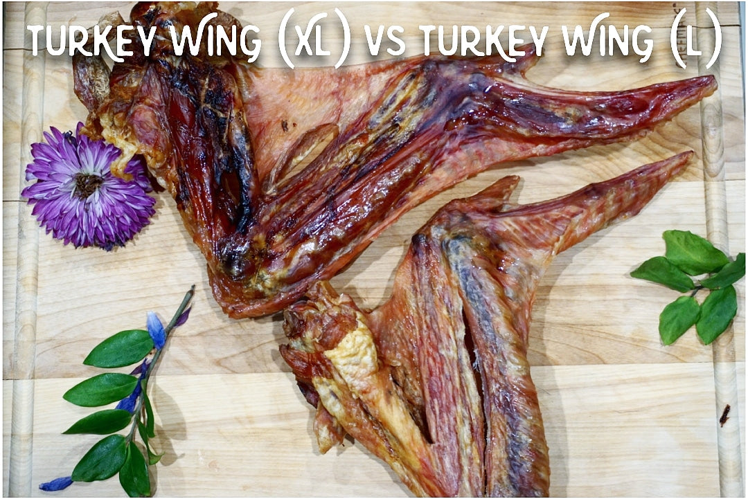 Turkey Wing