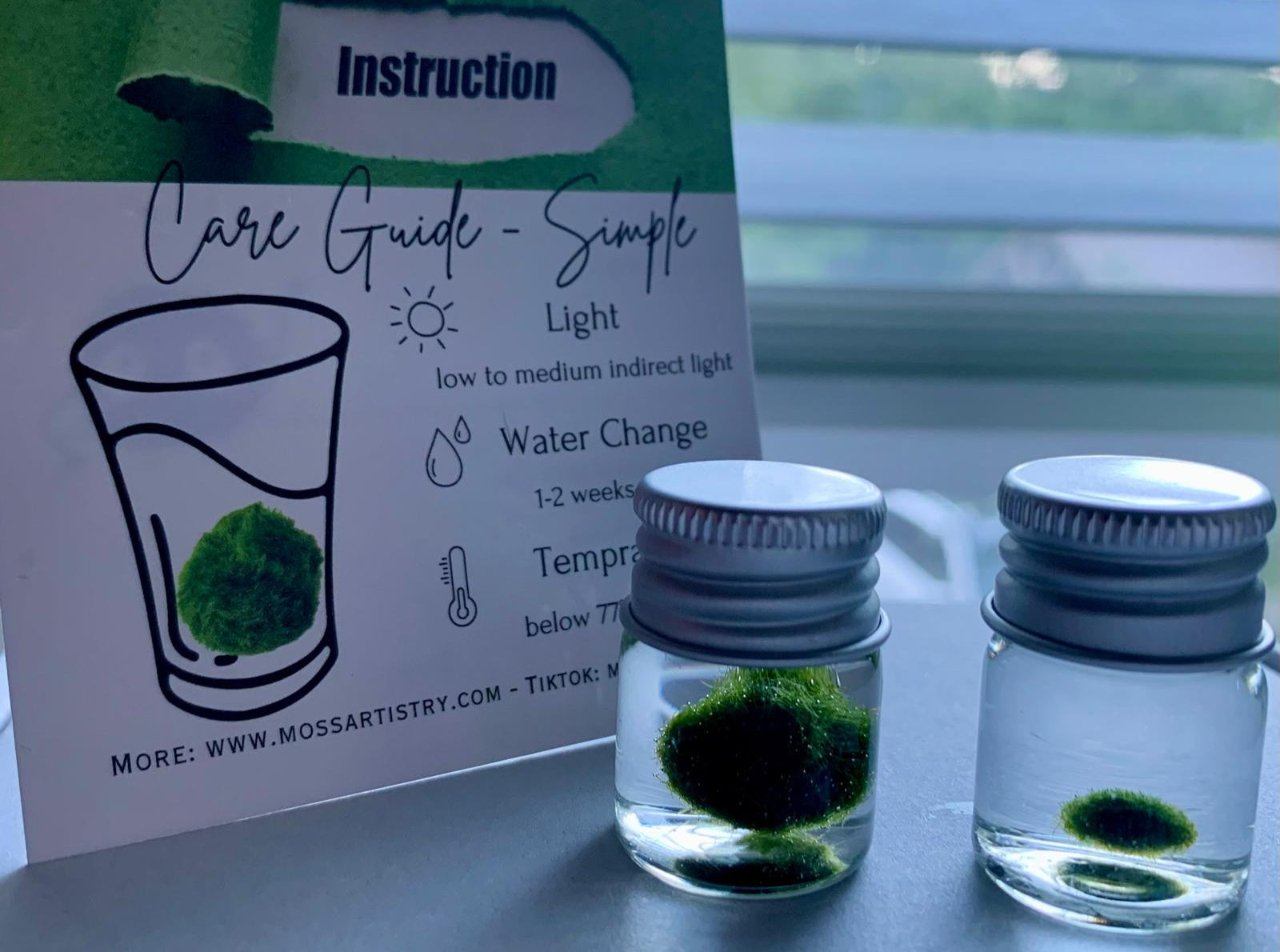 Chubby Marimo Moss Ball Kit Mini Moss Ball Kit