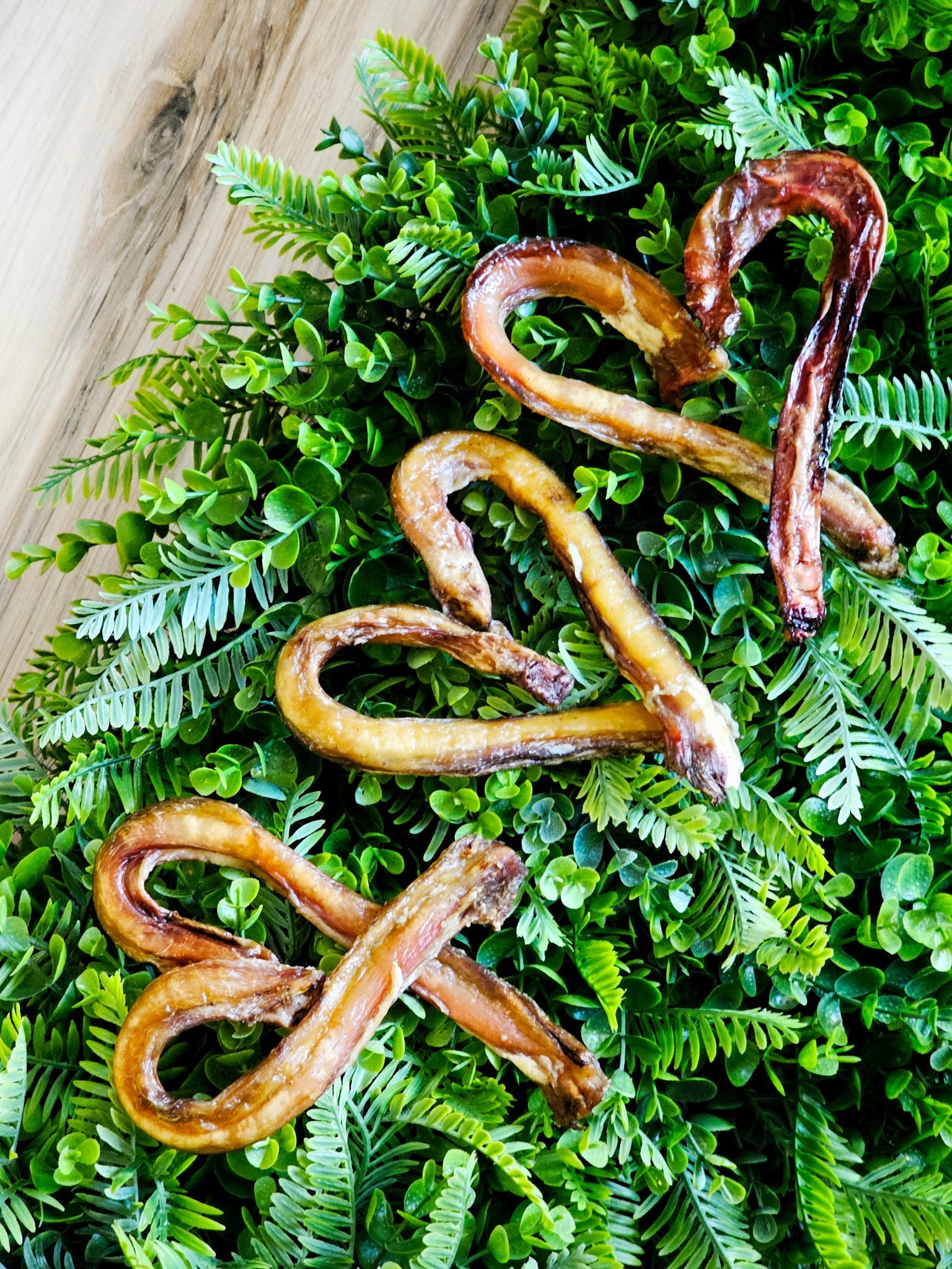 Beef Pizzle (Sticks, Loops, Short,