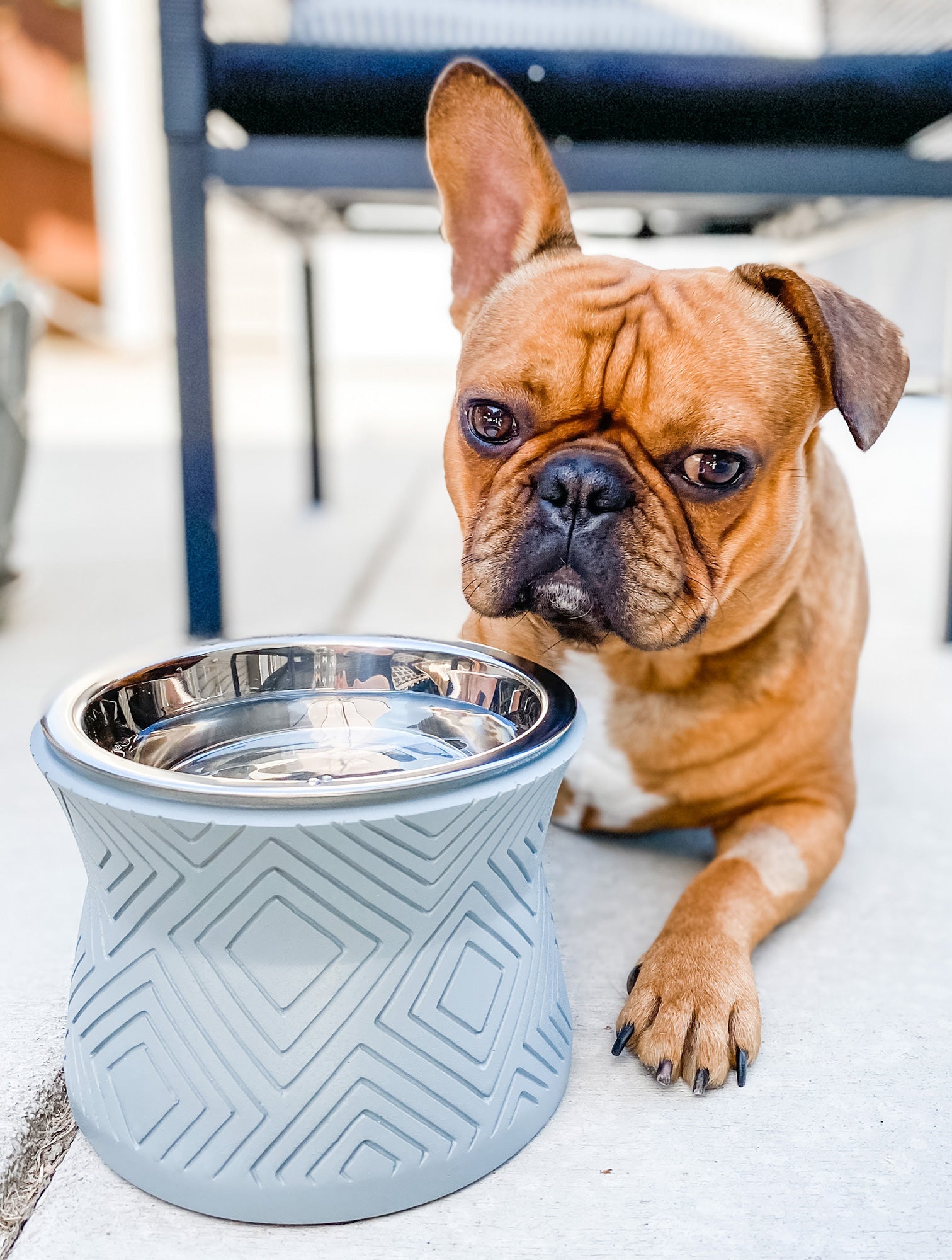 Santa Fe Elevated Dog Bowl