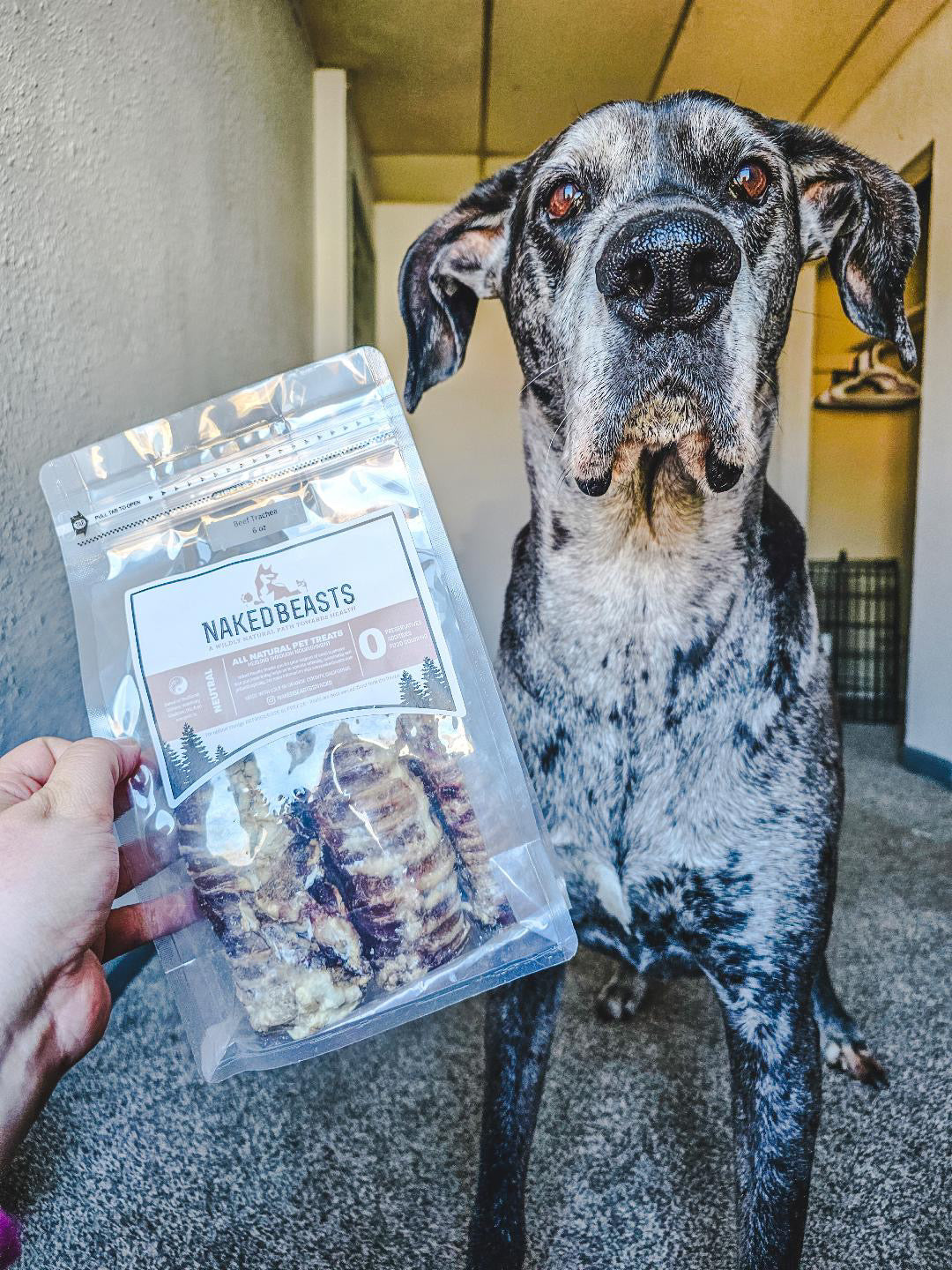 Beef Trachea (Grass Fed & Finished)