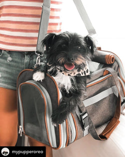 Mr. Peanut's Gold Series Mini Size Airline Compliant Expandable Pet Carrier