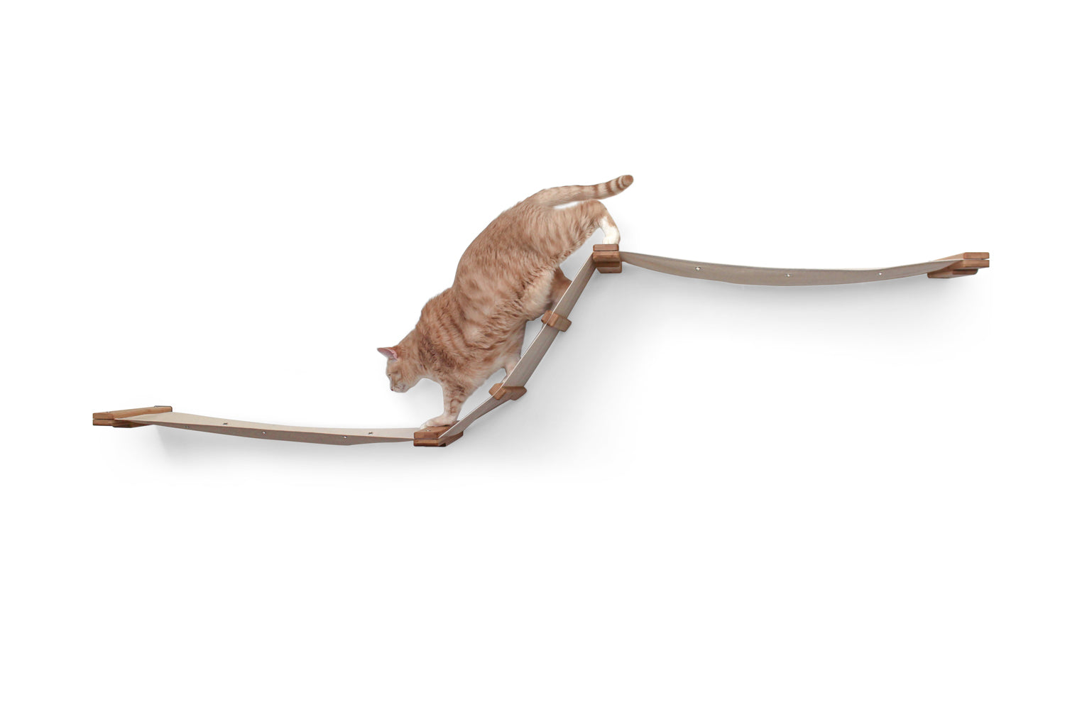 The Raceway - Wall Mounted Cat Hammock