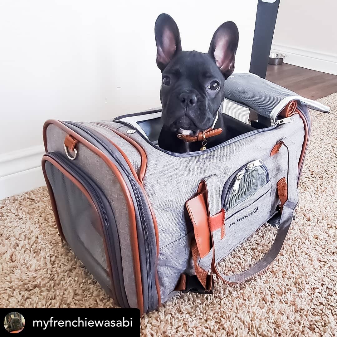 Mr. Peanut's Gold Series Airline Compliant Pet Carrier