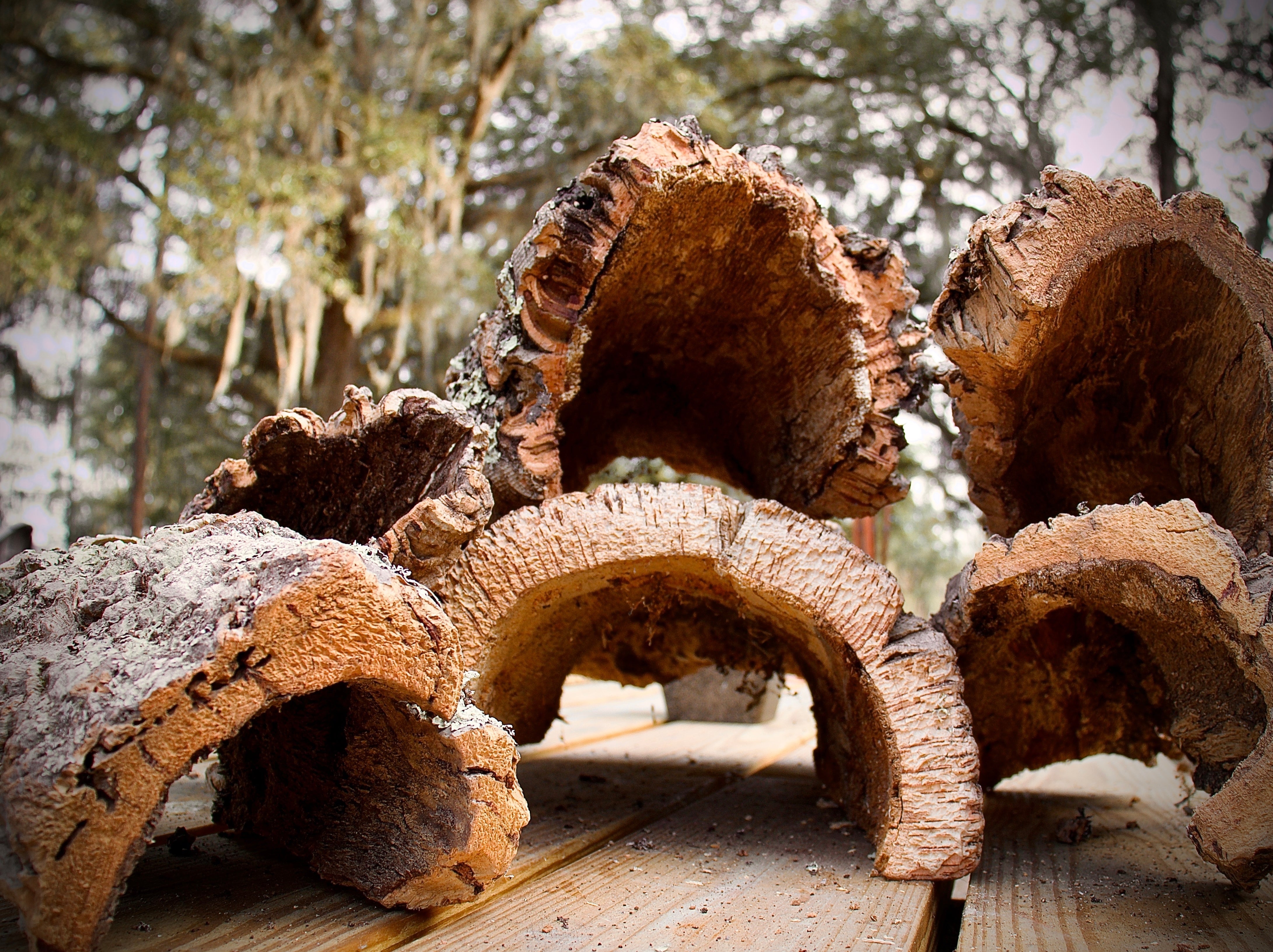 Cork Bark Half Rounds