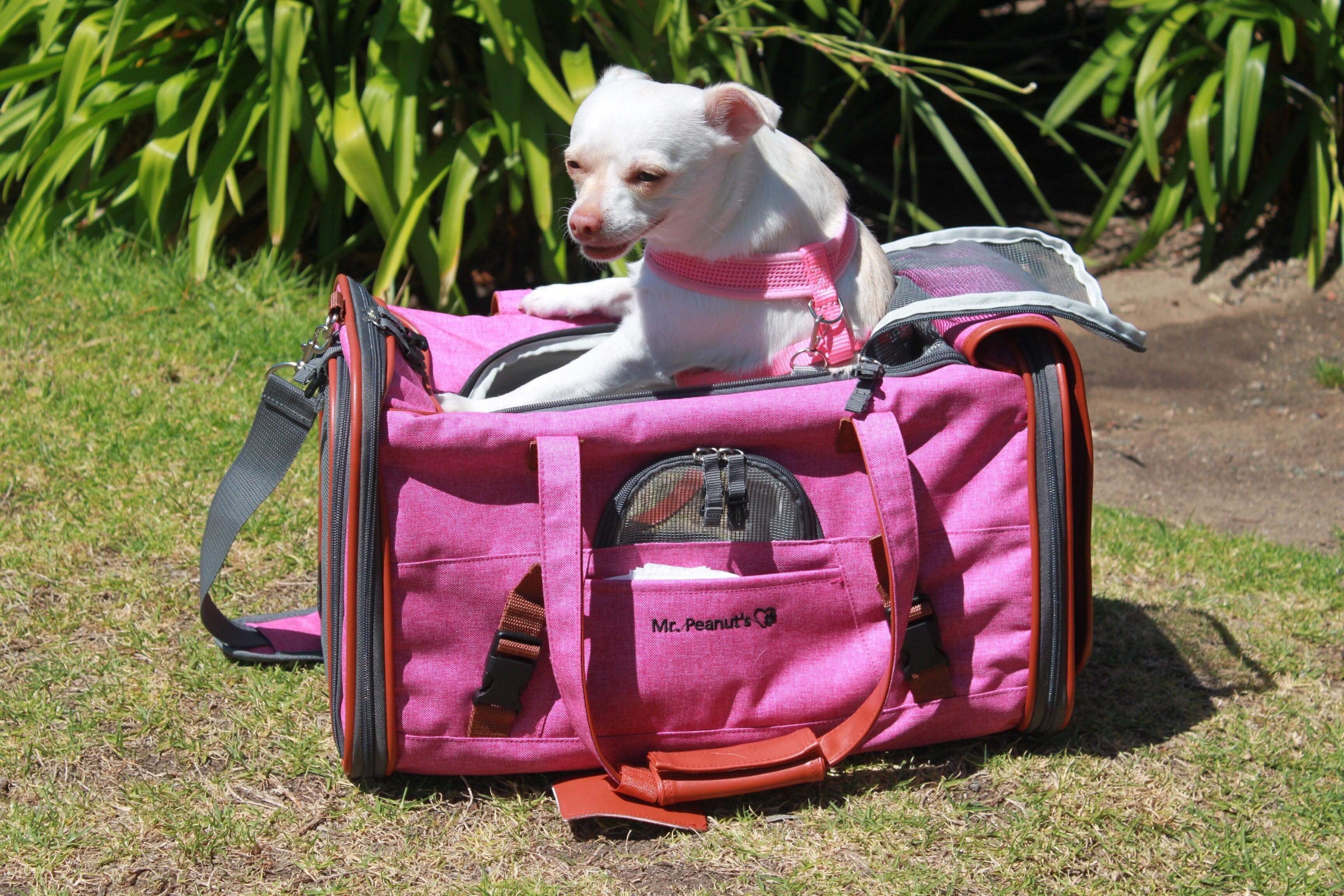 Mr. Peanut's Gold Series Airline Compliant Pet Carrier