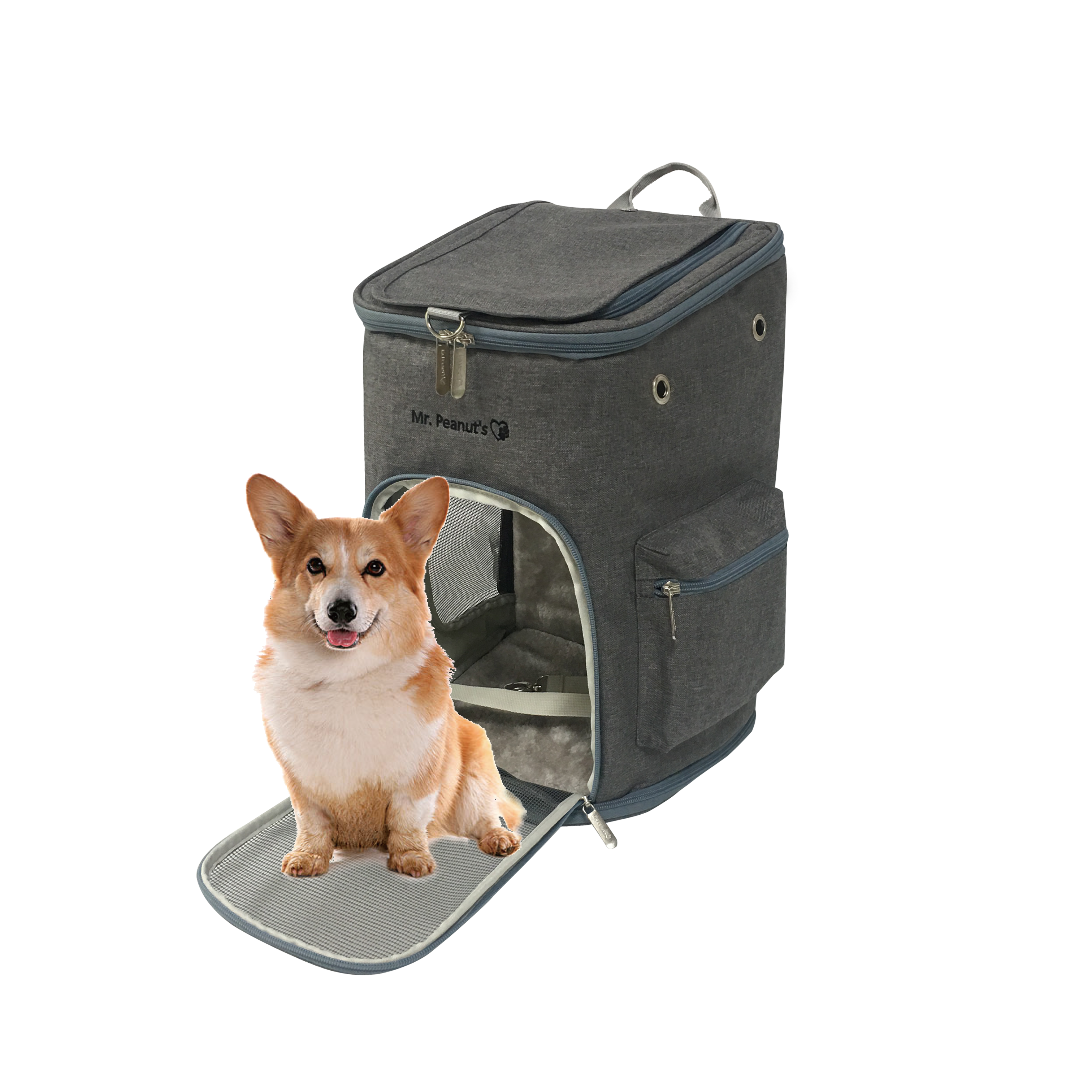 Mr. Peanut's Vancouver Series Backpack Pet Carrier for Smaller Cats and Dogs