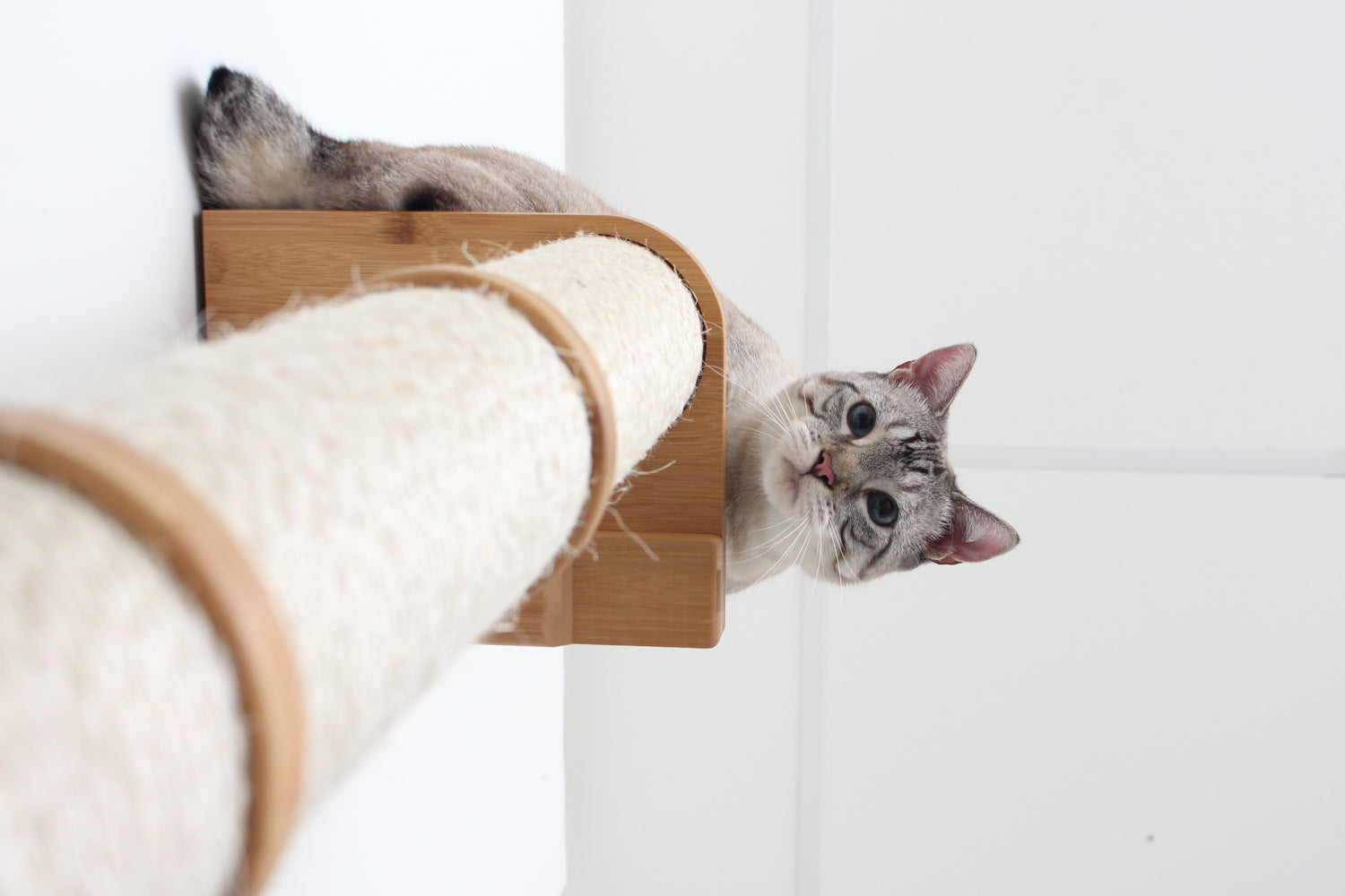 Wall Mounted Cat Climbing Pole - Sisal