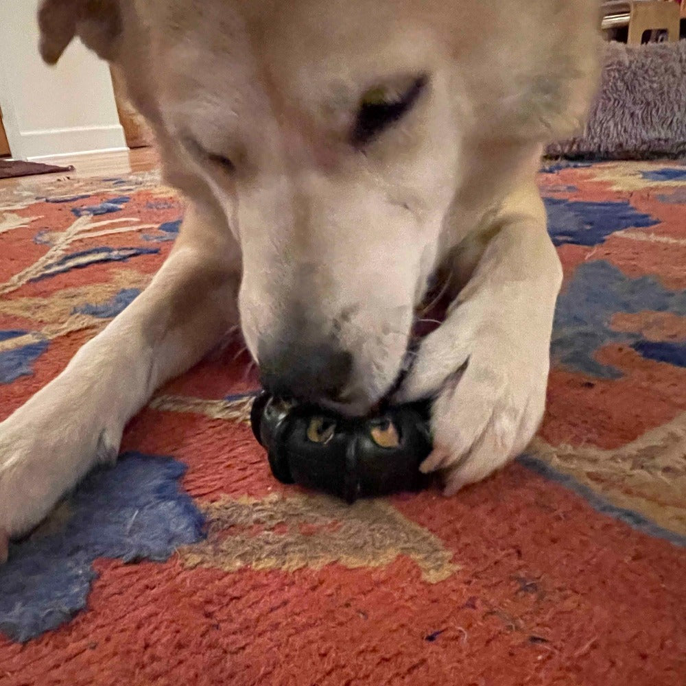 Tractor Tire Nylon Dog Chew Toy for Super Chewers | USA Made & FDA Compliant
