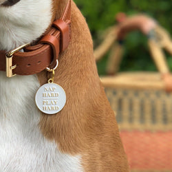 Nap Hard, Play Hard Pet ID Tag