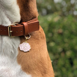 Rose - Gold & Pink - Pet ID Tag