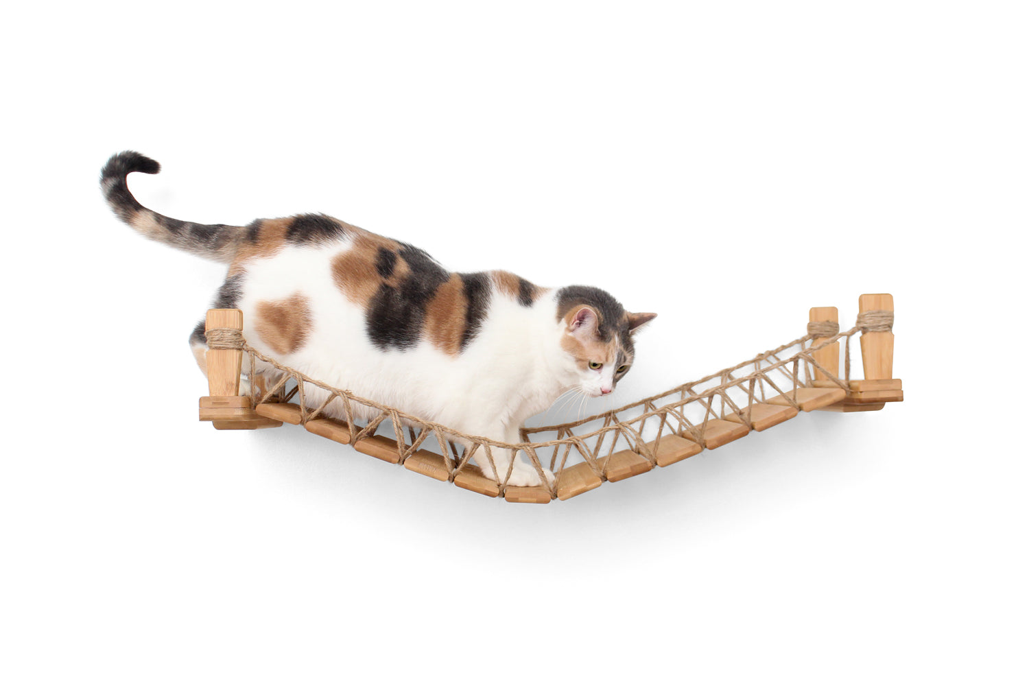 Cat Bridge for Wall