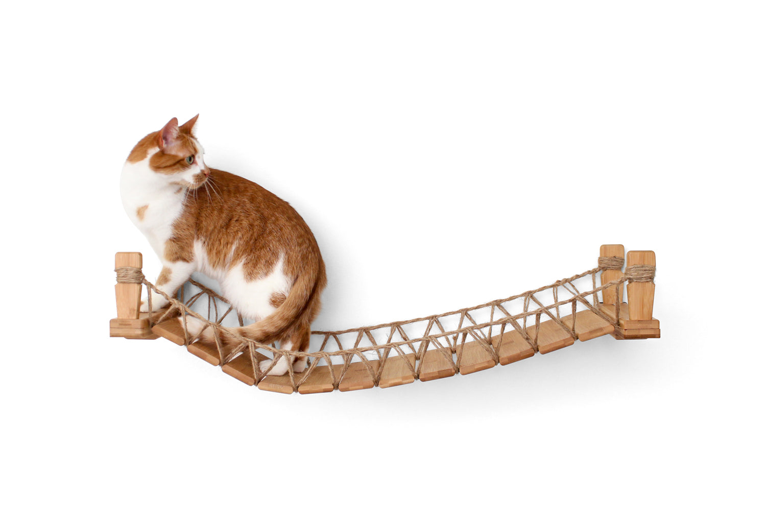 Cat Bridge for Wall