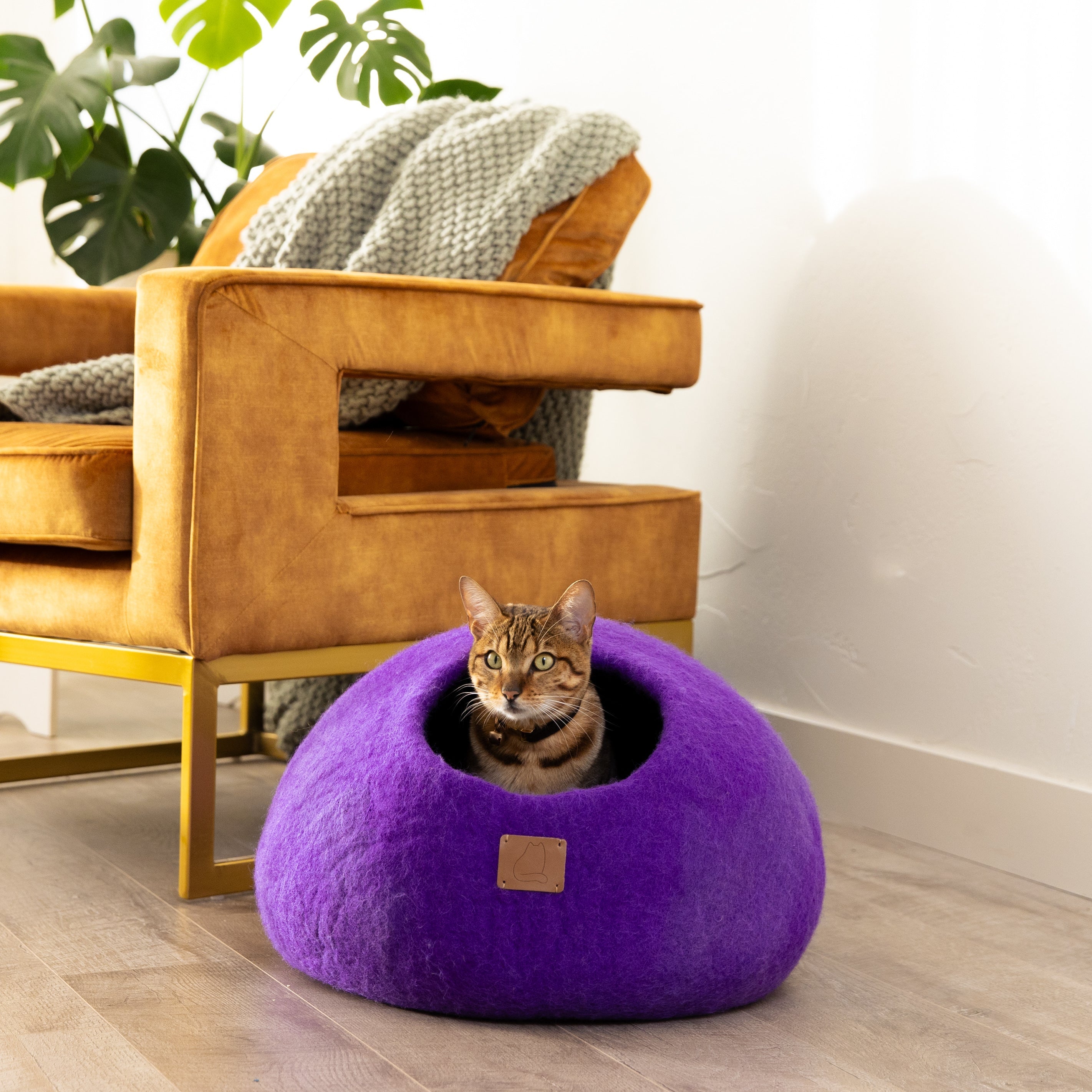 The Family Pet