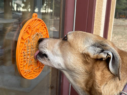 Camp eMat Enrichment Lick Mat With Suction Cups